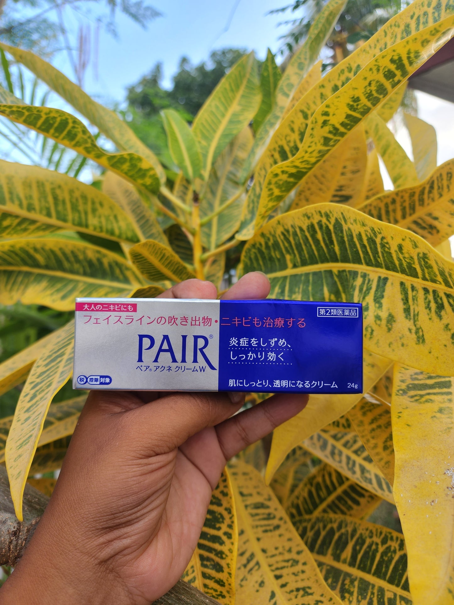 [LION] Pair Acne Cream